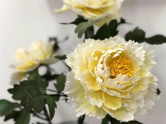 From Ancient Craft to Modern Eco-Friendly Decor: Discover Tongcao Pith Flowers