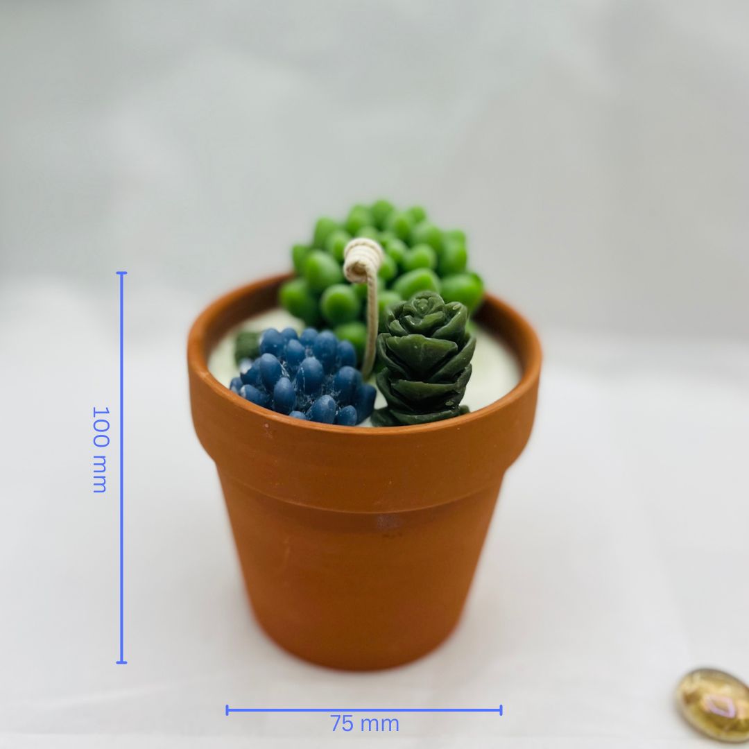Assorted Succulent Pot Candle