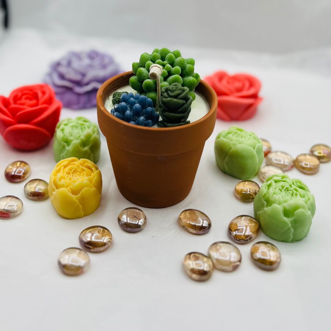 Assorted Succulent Pot Candle