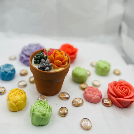 Assorted Succulent Pot Candle